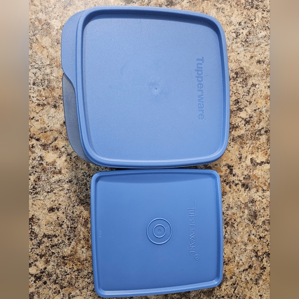 2 x BRAND NEW Lunch containers